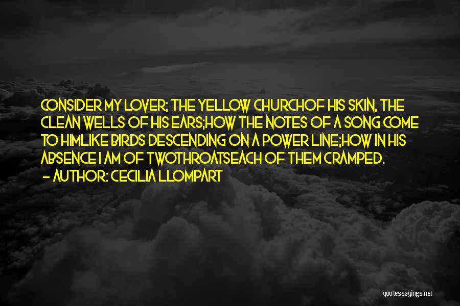 Cecilia Llompart Quotes: Consider My Lover; The Yellow Churchof His Skin, The Clean Wells Of His Ears;how The Notes Of A Song Come