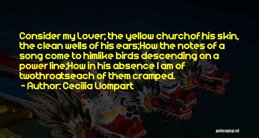 Cecilia Llompart Quotes: Consider My Lover; The Yellow Churchof His Skin, The Clean Wells Of His Ears;how The Notes Of A Song Come