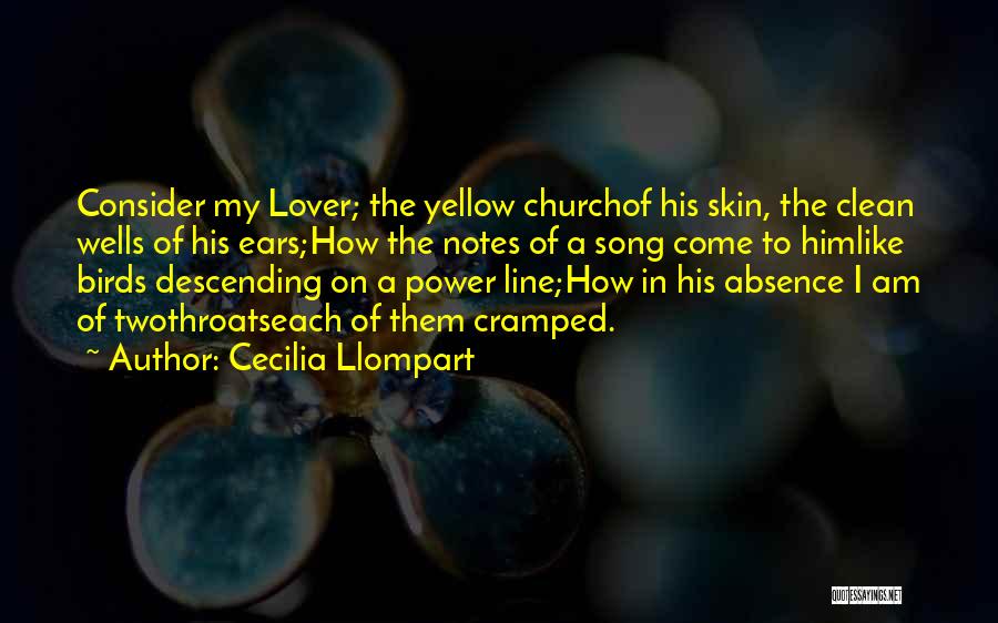 Cecilia Llompart Quotes: Consider My Lover; The Yellow Churchof His Skin, The Clean Wells Of His Ears;how The Notes Of A Song Come