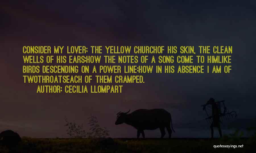 Cecilia Llompart Quotes: Consider My Lover; The Yellow Churchof His Skin, The Clean Wells Of His Ears;how The Notes Of A Song Come