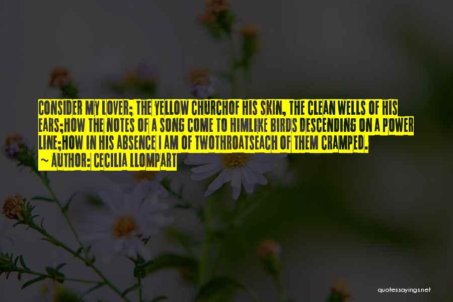 Cecilia Llompart Quotes: Consider My Lover; The Yellow Churchof His Skin, The Clean Wells Of His Ears;how The Notes Of A Song Come