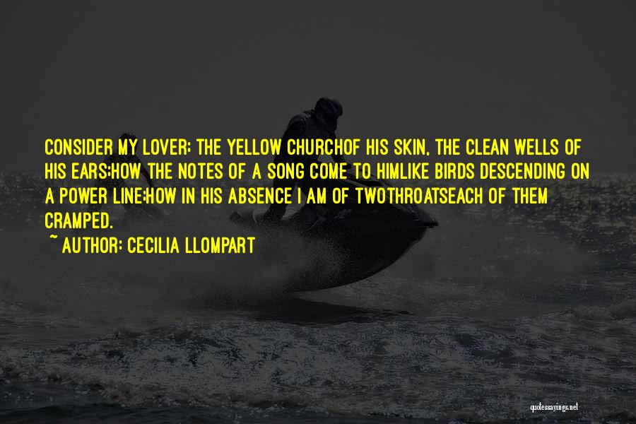 Cecilia Llompart Quotes: Consider My Lover; The Yellow Churchof His Skin, The Clean Wells Of His Ears;how The Notes Of A Song Come