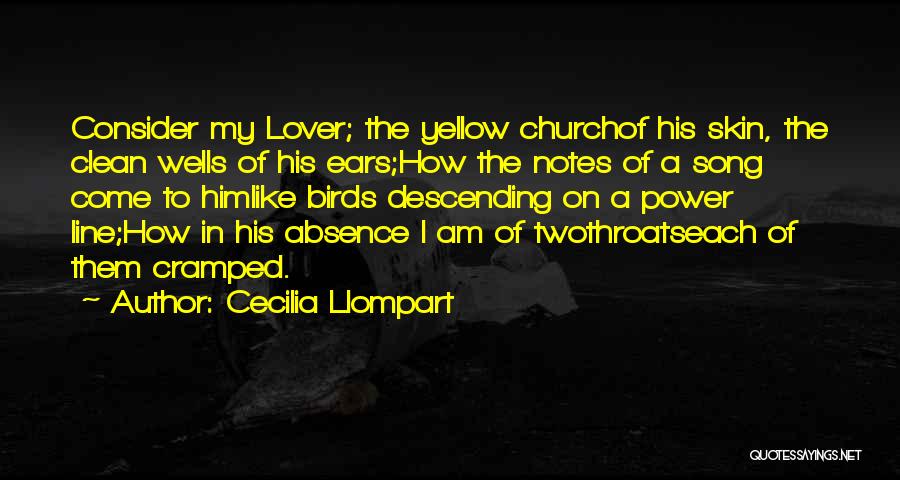 Cecilia Llompart Quotes: Consider My Lover; The Yellow Churchof His Skin, The Clean Wells Of His Ears;how The Notes Of A Song Come