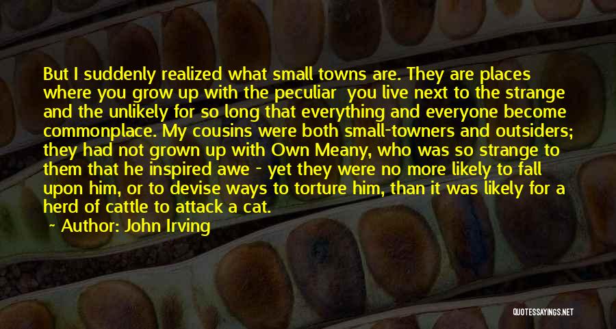 John Irving Quotes: But I Suddenly Realized What Small Towns Are. They Are Places Where You Grow Up With The Peculiar You Live