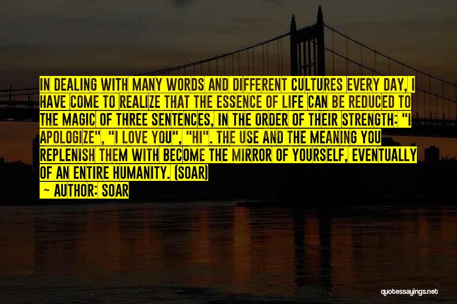 Soar Quotes: In Dealing With Many Words And Different Cultures Every Day, I Have Come To Realize That The Essence Of Life