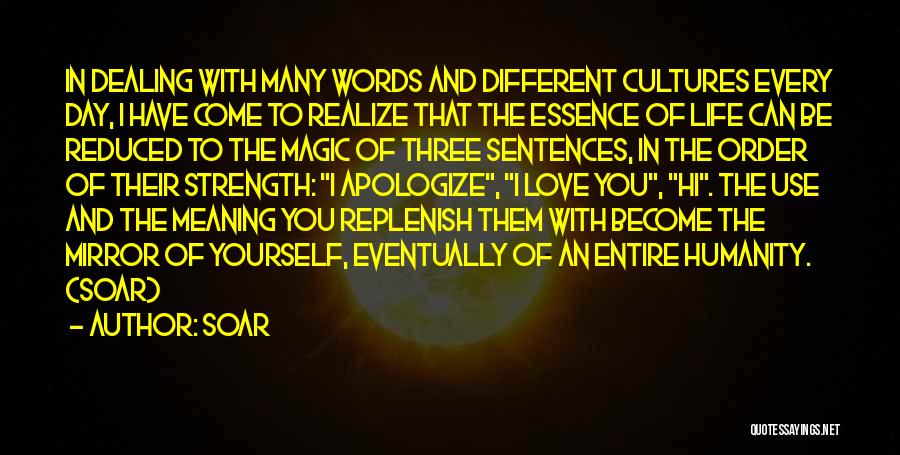 Soar Quotes: In Dealing With Many Words And Different Cultures Every Day, I Have Come To Realize That The Essence Of Life