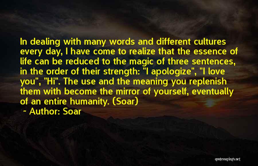 Soar Quotes: In Dealing With Many Words And Different Cultures Every Day, I Have Come To Realize That The Essence Of Life