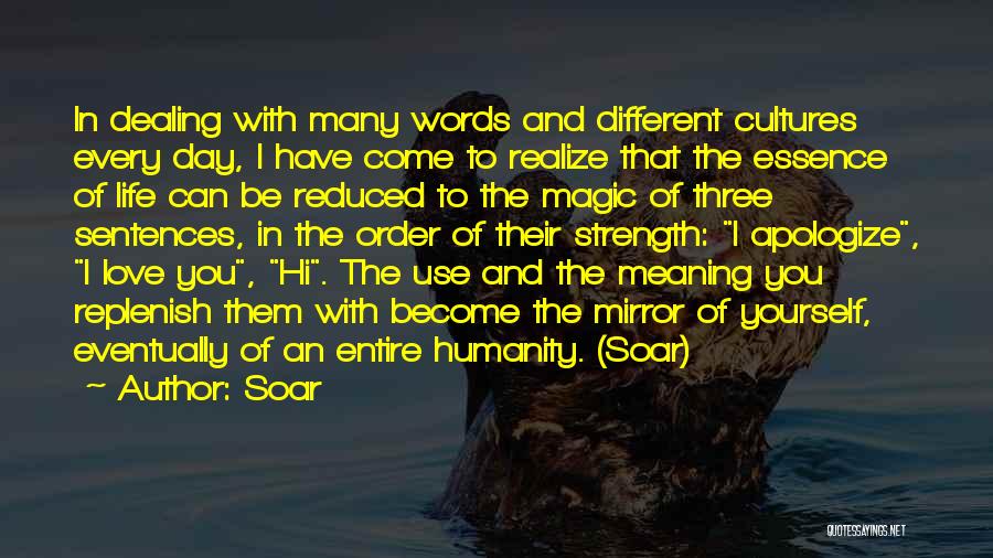 Soar Quotes: In Dealing With Many Words And Different Cultures Every Day, I Have Come To Realize That The Essence Of Life