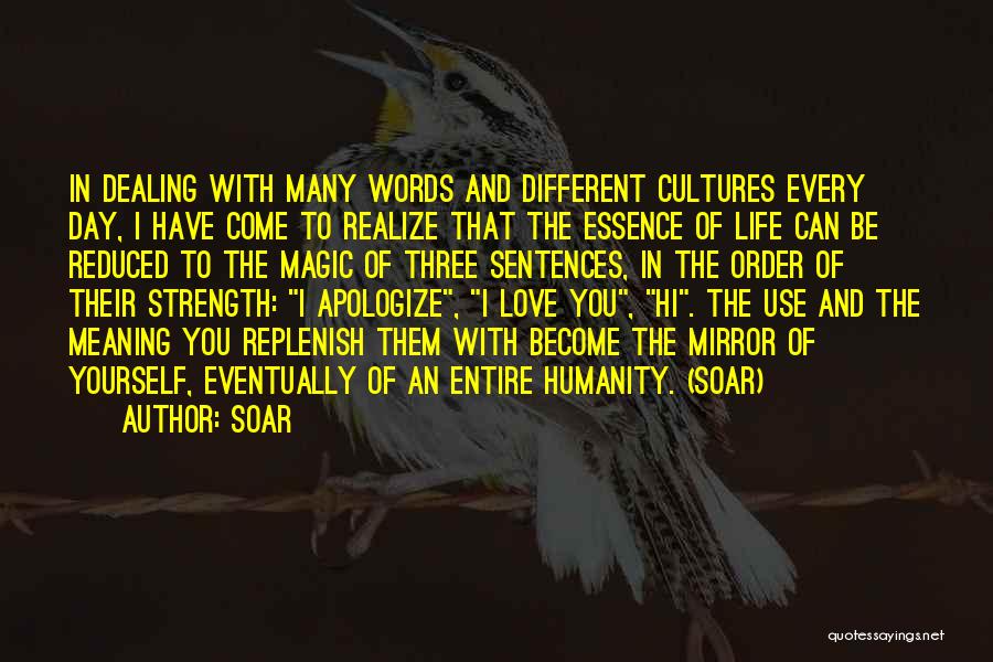 Soar Quotes: In Dealing With Many Words And Different Cultures Every Day, I Have Come To Realize That The Essence Of Life