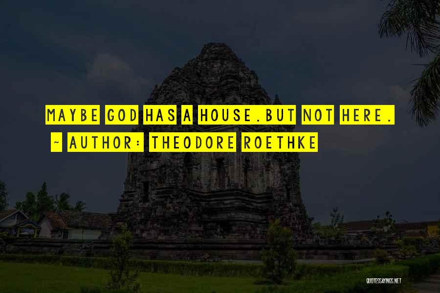 Theodore Roethke Quotes: Maybe God Has A House.but Not Here.