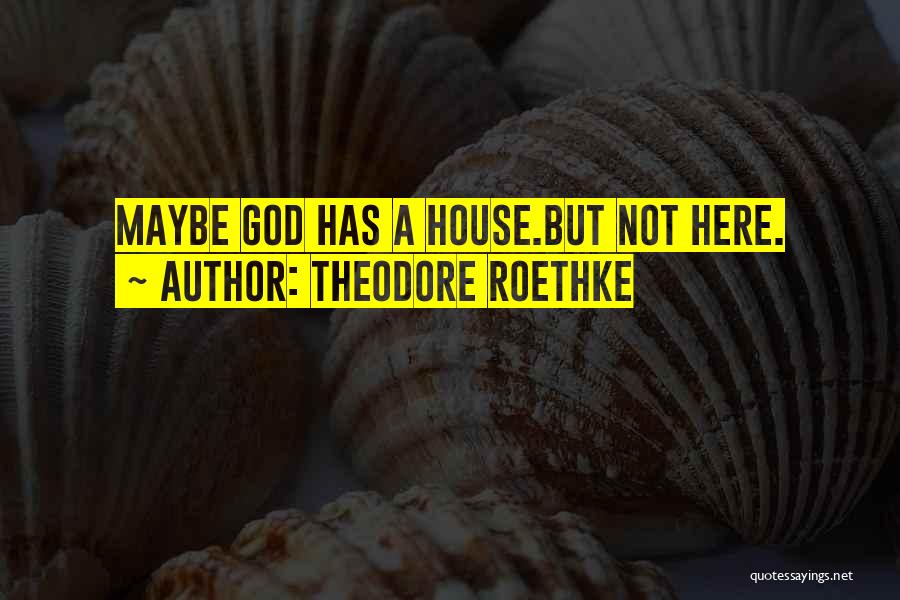 Theodore Roethke Quotes: Maybe God Has A House.but Not Here.