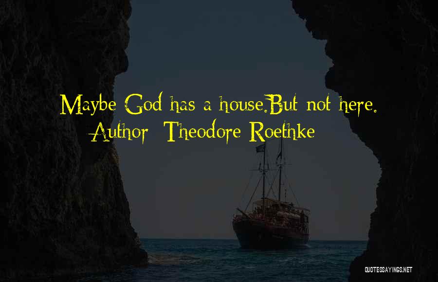 Theodore Roethke Quotes: Maybe God Has A House.but Not Here.