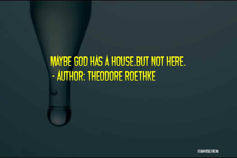 Theodore Roethke Quotes: Maybe God Has A House.but Not Here.