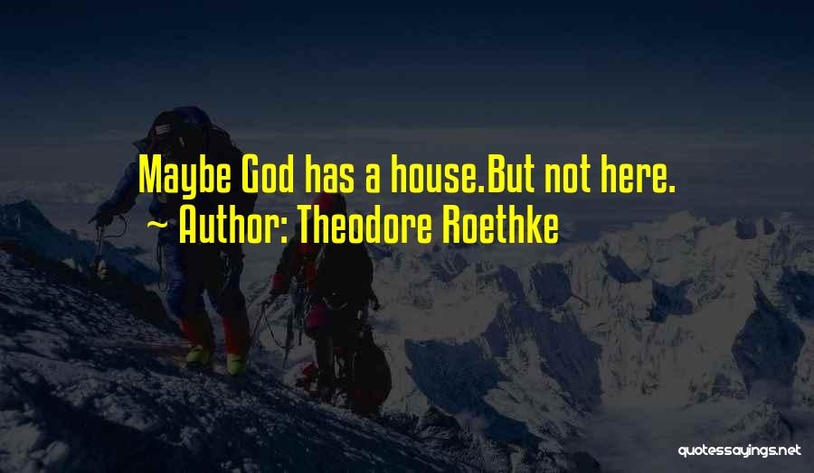 Theodore Roethke Quotes: Maybe God Has A House.but Not Here.