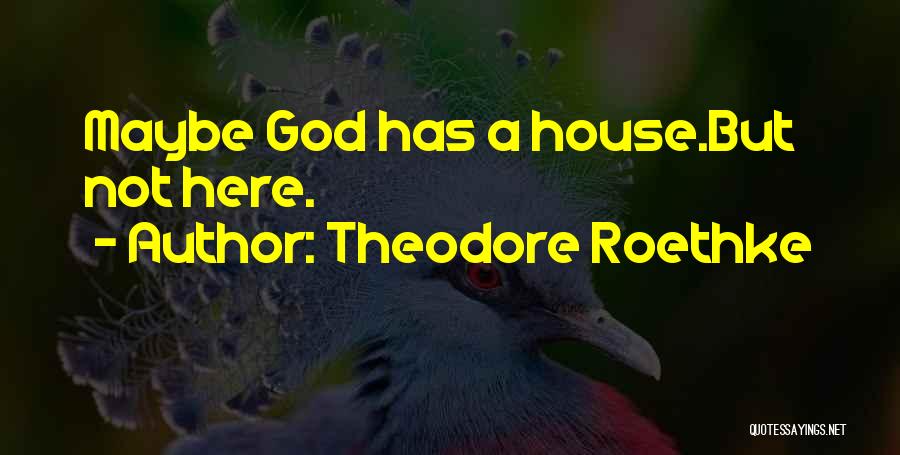 Theodore Roethke Quotes: Maybe God Has A House.but Not Here.