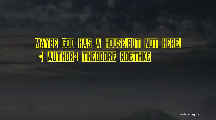 Theodore Roethke Quotes: Maybe God Has A House.but Not Here.