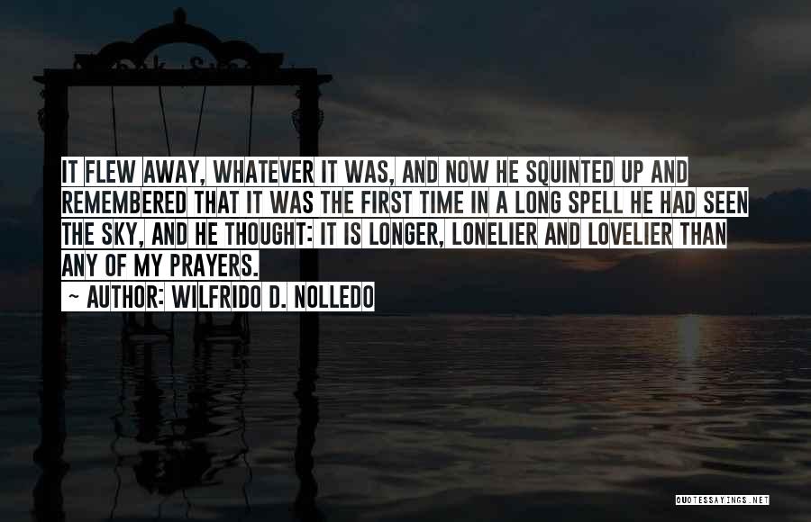 Wilfrido D. Nolledo Quotes: It Flew Away, Whatever It Was, And Now He Squinted Up And Remembered That It Was The First Time In