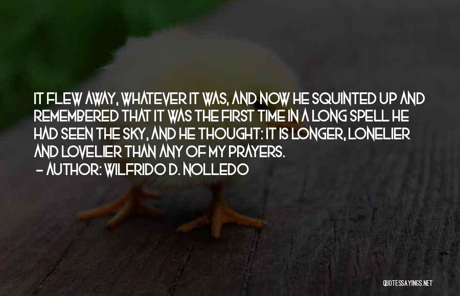 Wilfrido D. Nolledo Quotes: It Flew Away, Whatever It Was, And Now He Squinted Up And Remembered That It Was The First Time In