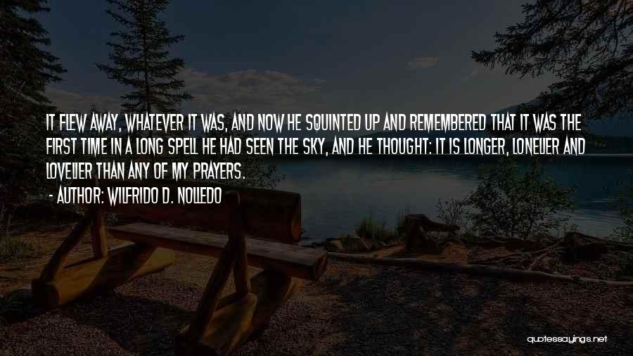 Wilfrido D. Nolledo Quotes: It Flew Away, Whatever It Was, And Now He Squinted Up And Remembered That It Was The First Time In