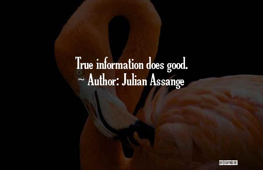 Julian Assange Quotes: True Information Does Good.