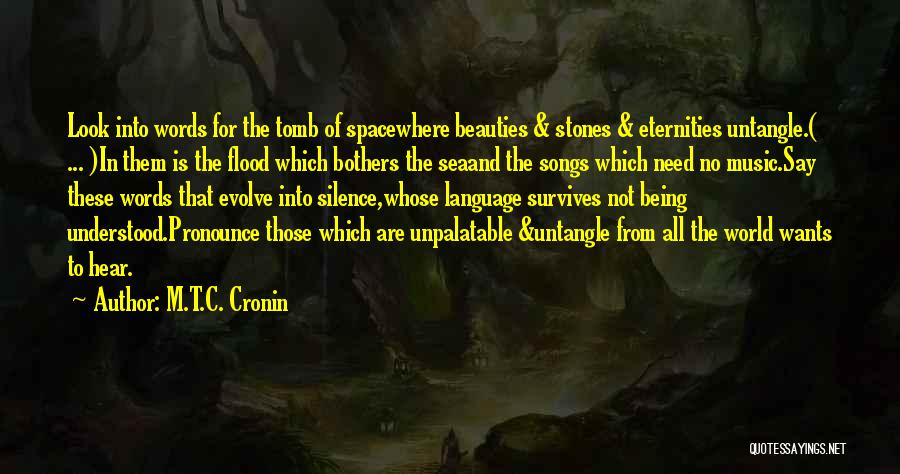 M.T.C. Cronin Quotes: Look Into Words For The Tomb Of Spacewhere Beauties & Stones & Eternities Untangle.( ... )in Them Is The Flood