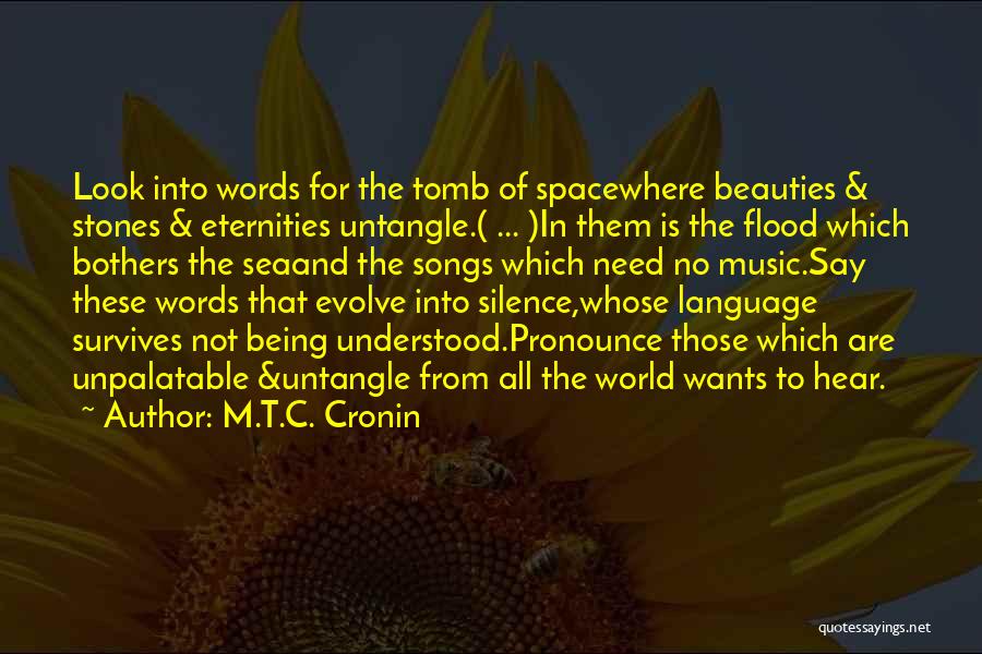 M.T.C. Cronin Quotes: Look Into Words For The Tomb Of Spacewhere Beauties & Stones & Eternities Untangle.( ... )in Them Is The Flood