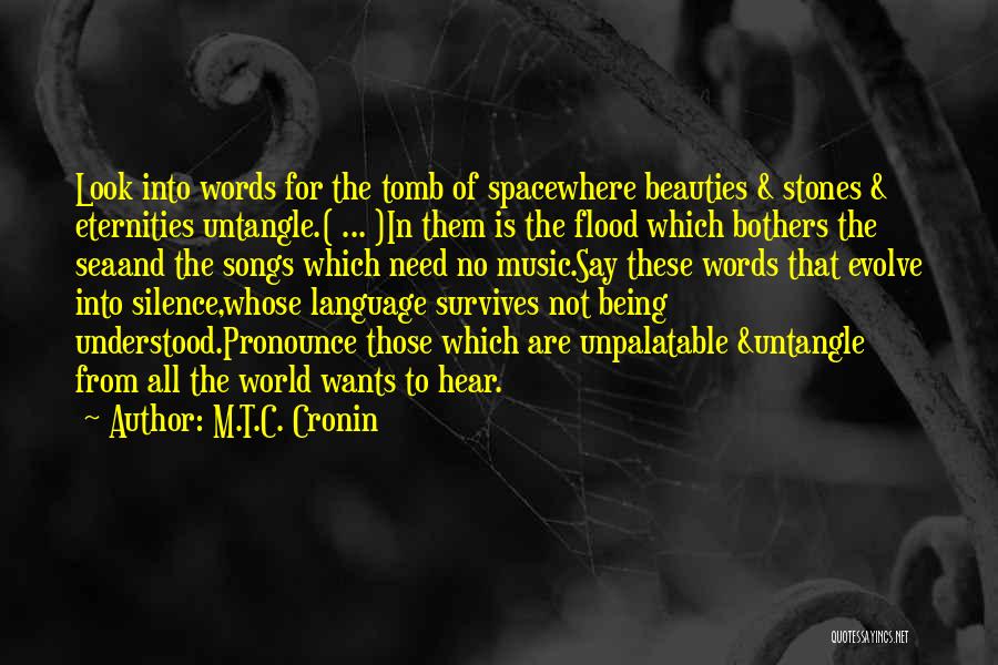 M.T.C. Cronin Quotes: Look Into Words For The Tomb Of Spacewhere Beauties & Stones & Eternities Untangle.( ... )in Them Is The Flood