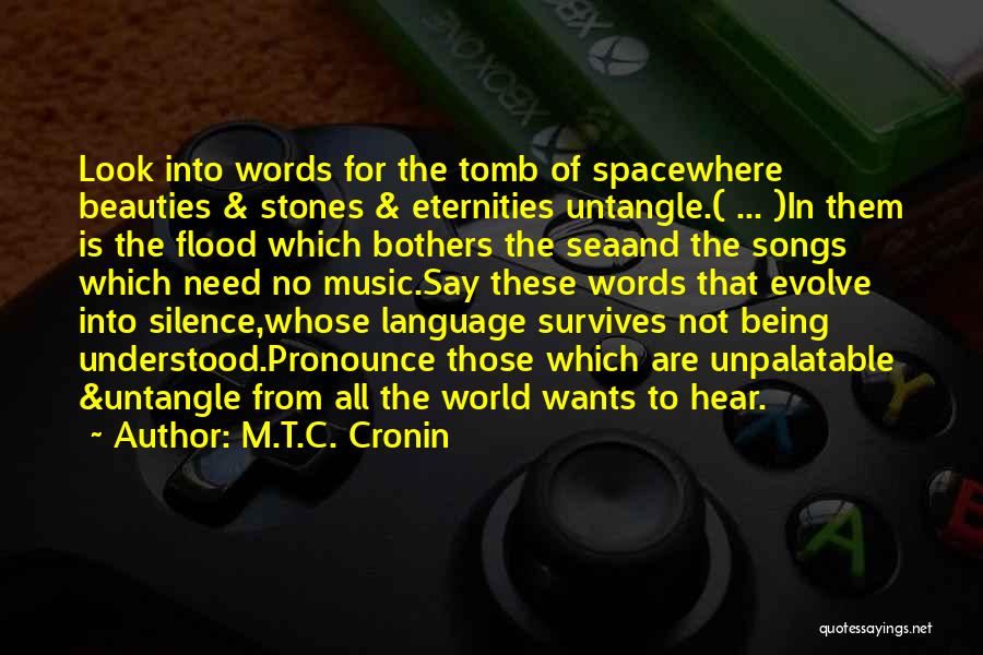 M.T.C. Cronin Quotes: Look Into Words For The Tomb Of Spacewhere Beauties & Stones & Eternities Untangle.( ... )in Them Is The Flood