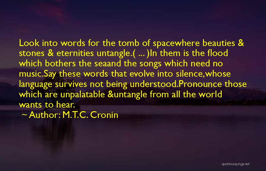 M.T.C. Cronin Quotes: Look Into Words For The Tomb Of Spacewhere Beauties & Stones & Eternities Untangle.( ... )in Them Is The Flood