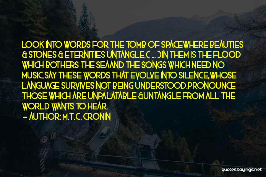 M.T.C. Cronin Quotes: Look Into Words For The Tomb Of Spacewhere Beauties & Stones & Eternities Untangle.( ... )in Them Is The Flood