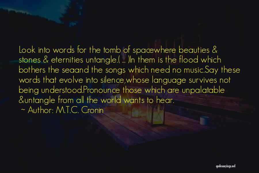 M.T.C. Cronin Quotes: Look Into Words For The Tomb Of Spacewhere Beauties & Stones & Eternities Untangle.( ... )in Them Is The Flood