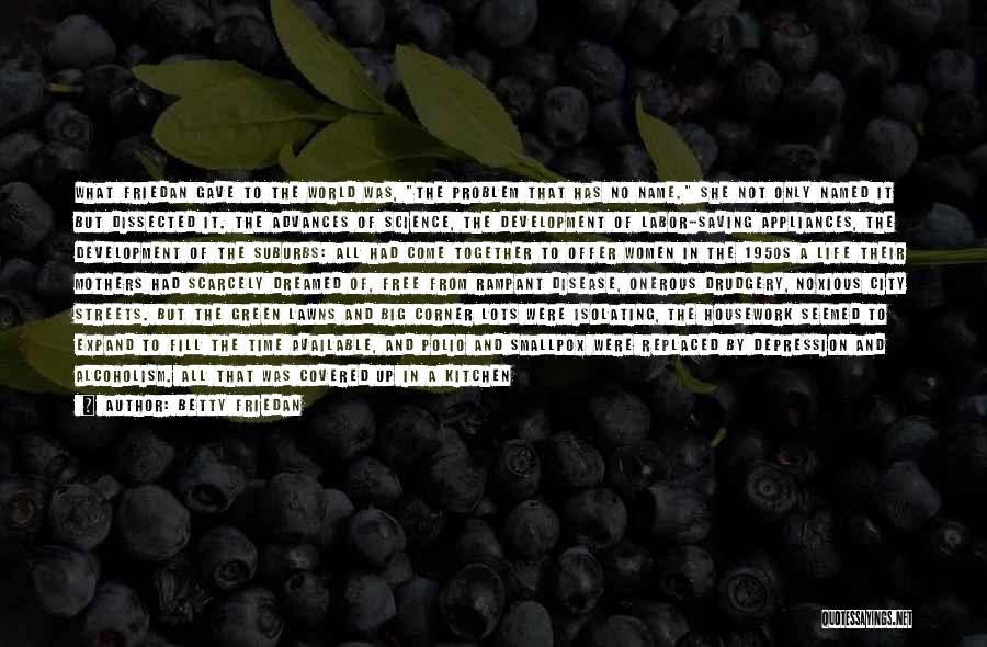 Betty Friedan Quotes: What Friedan Gave To The World Was, The Problem That Has No Name. She Not Only Named It But Dissected