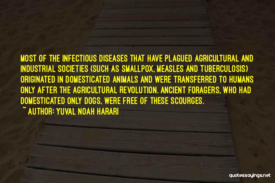 Yuval Noah Harari Quotes: Most Of The Infectious Diseases That Have Plagued Agricultural And Industrial Societies (such As Smallpox, Measles And Tuberculosis) Originated In