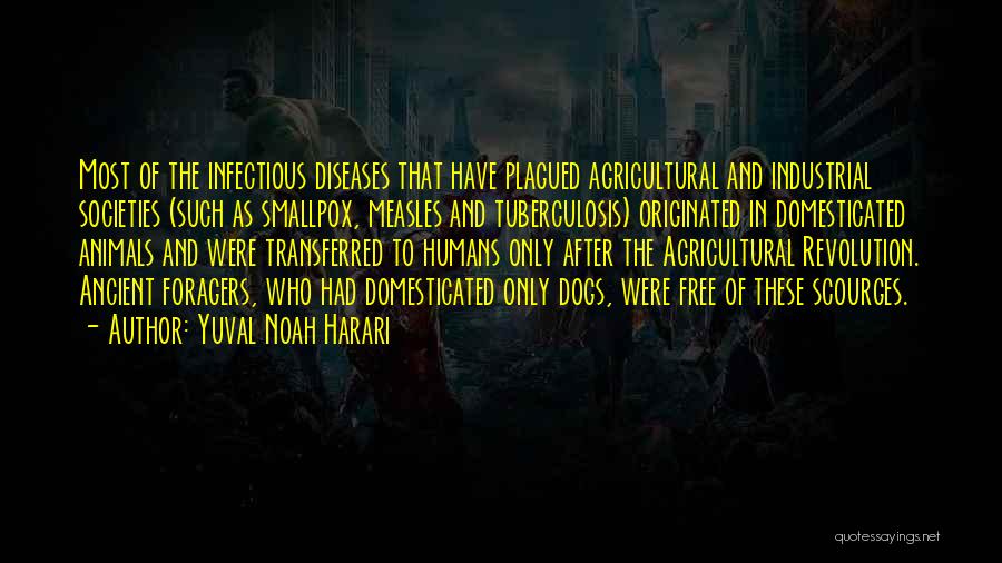 Yuval Noah Harari Quotes: Most Of The Infectious Diseases That Have Plagued Agricultural And Industrial Societies (such As Smallpox, Measles And Tuberculosis) Originated In