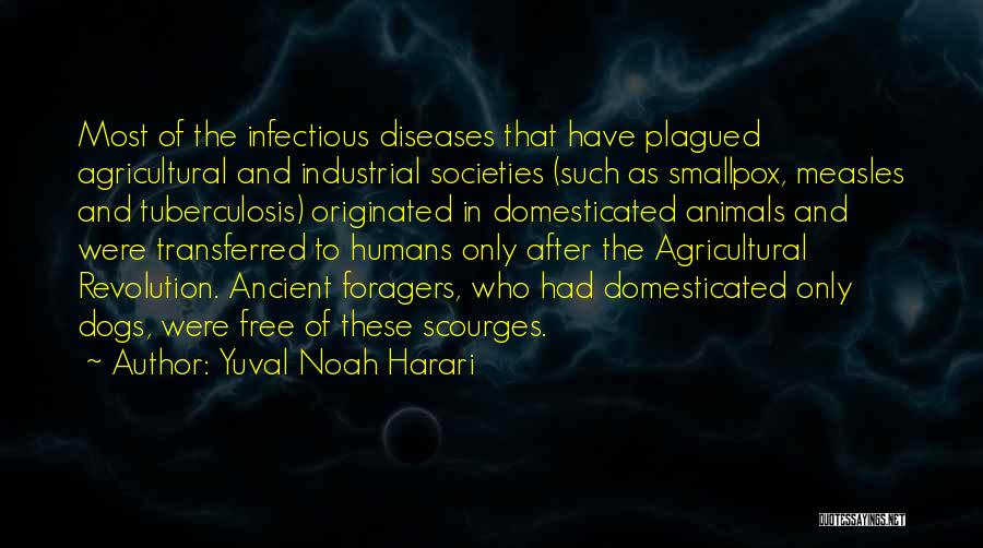 Yuval Noah Harari Quotes: Most Of The Infectious Diseases That Have Plagued Agricultural And Industrial Societies (such As Smallpox, Measles And Tuberculosis) Originated In