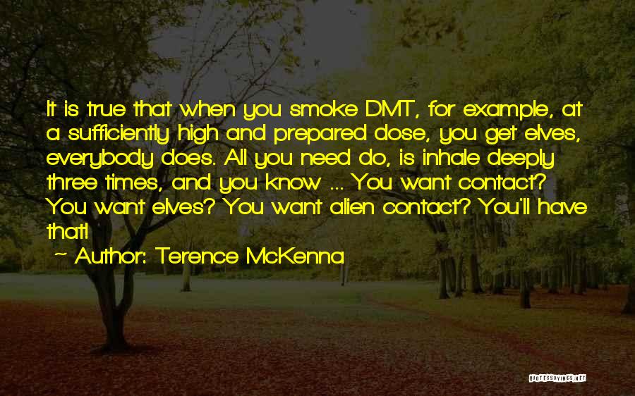 Terence McKenna Quotes: It Is True That When You Smoke Dmt, For Example, At A Sufficiently High And Prepared Dose, You Get Elves,