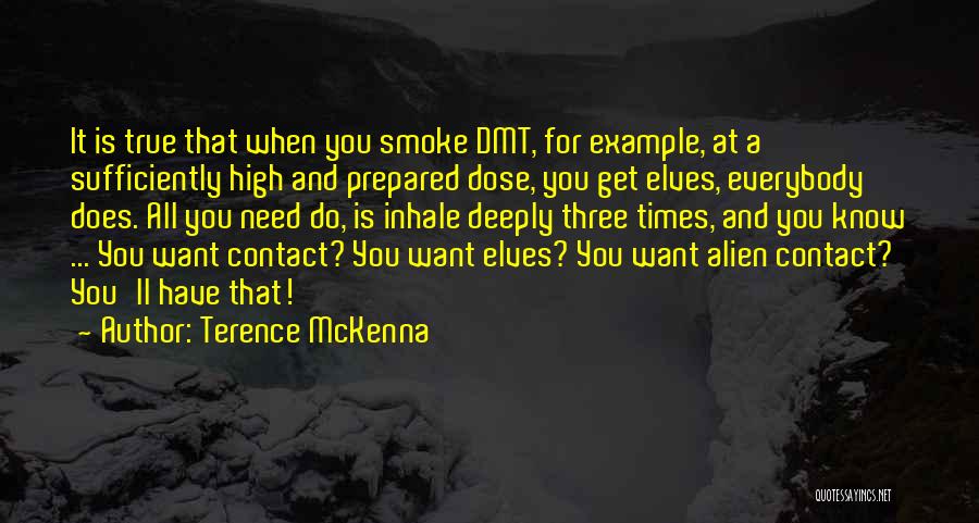 Terence McKenna Quotes: It Is True That When You Smoke Dmt, For Example, At A Sufficiently High And Prepared Dose, You Get Elves,