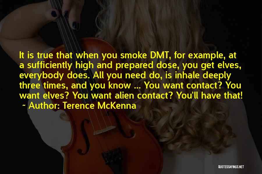 Terence McKenna Quotes: It Is True That When You Smoke Dmt, For Example, At A Sufficiently High And Prepared Dose, You Get Elves,