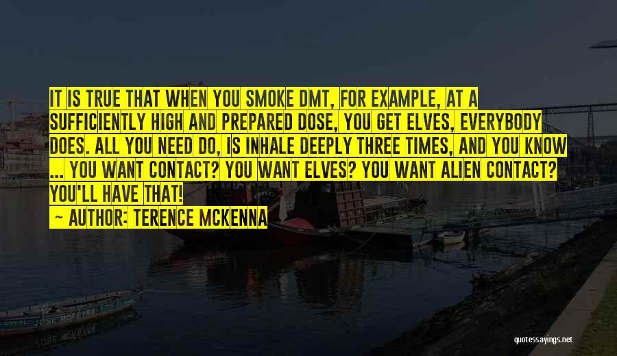 Terence McKenna Quotes: It Is True That When You Smoke Dmt, For Example, At A Sufficiently High And Prepared Dose, You Get Elves,