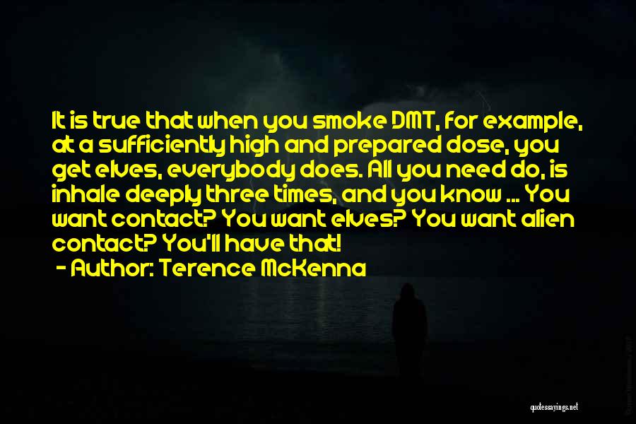 Terence McKenna Quotes: It Is True That When You Smoke Dmt, For Example, At A Sufficiently High And Prepared Dose, You Get Elves,