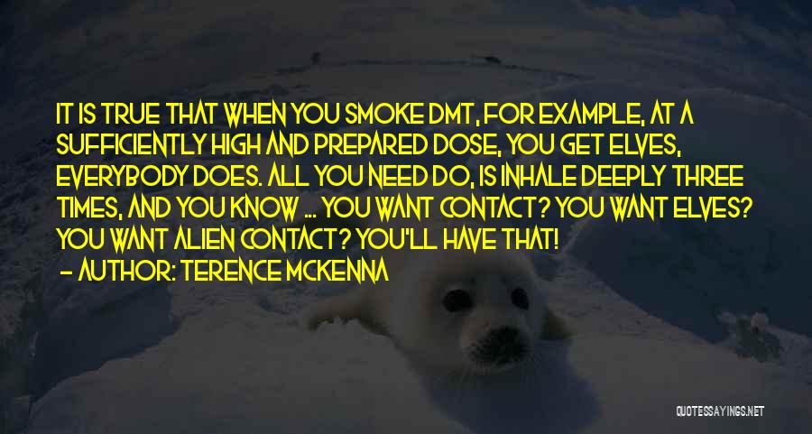 Terence McKenna Quotes: It Is True That When You Smoke Dmt, For Example, At A Sufficiently High And Prepared Dose, You Get Elves,