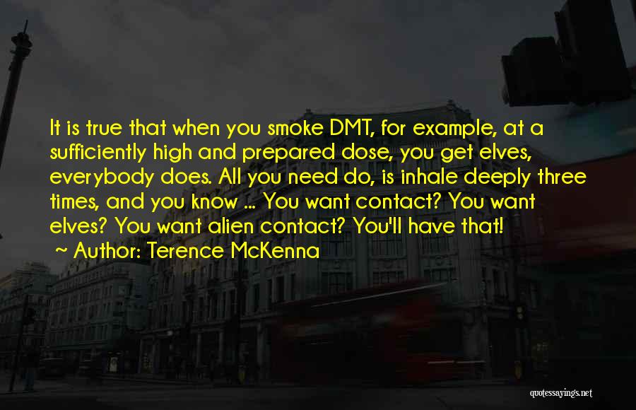 Terence McKenna Quotes: It Is True That When You Smoke Dmt, For Example, At A Sufficiently High And Prepared Dose, You Get Elves,