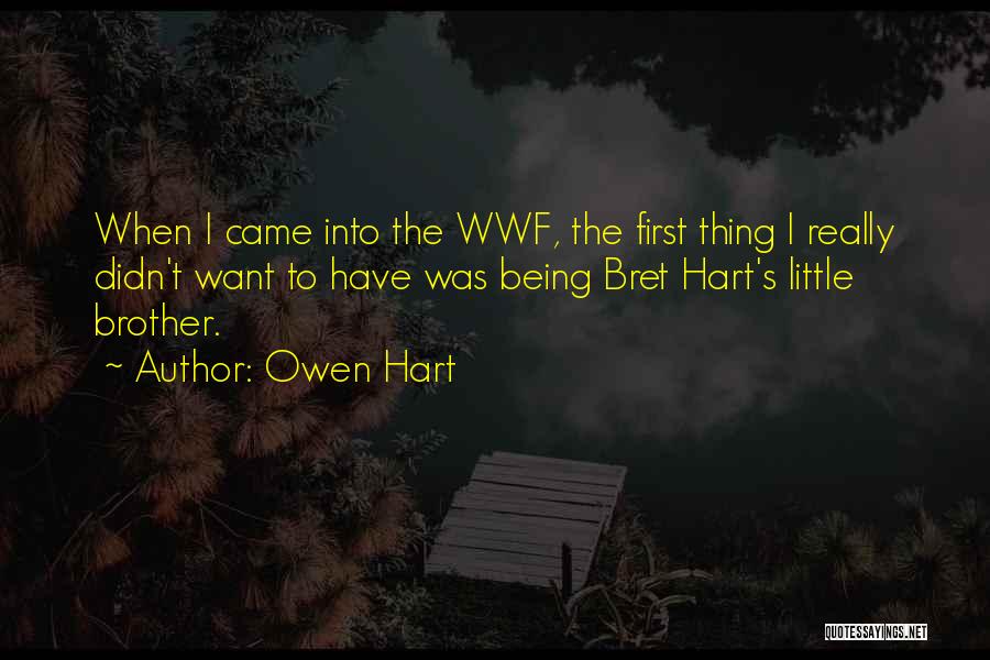 Owen Hart Quotes: When I Came Into The Wwf, The First Thing I Really Didn't Want To Have Was Being Bret Hart's Little