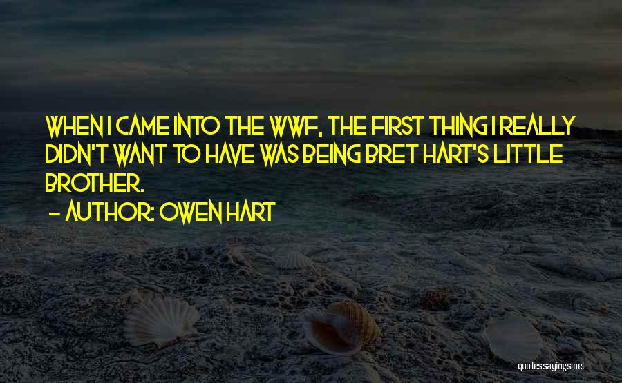 Owen Hart Quotes: When I Came Into The Wwf, The First Thing I Really Didn't Want To Have Was Being Bret Hart's Little