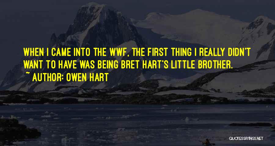 Owen Hart Quotes: When I Came Into The Wwf, The First Thing I Really Didn't Want To Have Was Being Bret Hart's Little