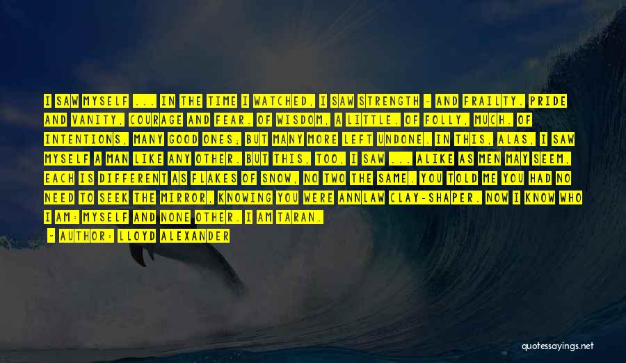 Lloyd Alexander Quotes: I Saw Myself ... In The Time I Watched, I Saw Strength - And Frailty. Pride And Vanity, Courage And