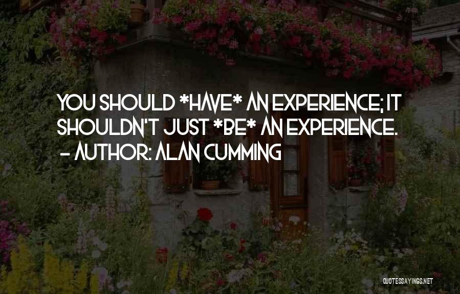 Alan Cumming Quotes: You Should *have* An Experience; It Shouldn't Just *be* An Experience.