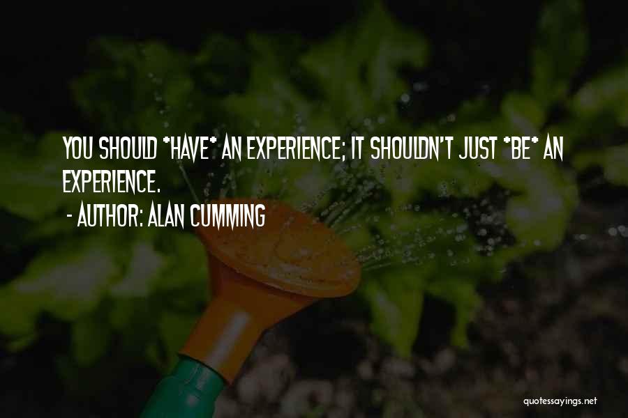 Alan Cumming Quotes: You Should *have* An Experience; It Shouldn't Just *be* An Experience.