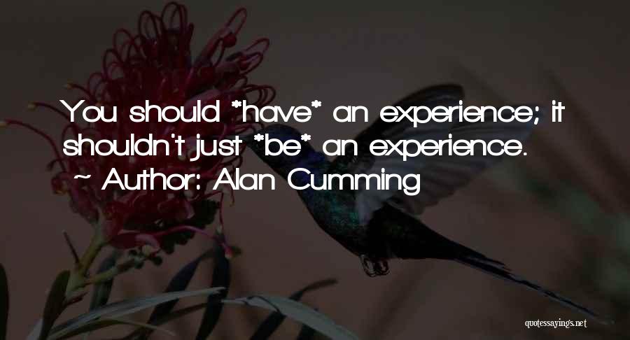 Alan Cumming Quotes: You Should *have* An Experience; It Shouldn't Just *be* An Experience.