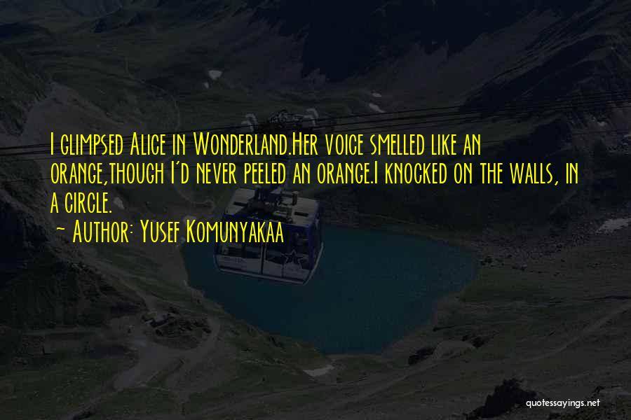 Yusef Komunyakaa Quotes: I Glimpsed Alice In Wonderland.her Voice Smelled Like An Orange,though I'd Never Peeled An Orange.i Knocked On The Walls, In